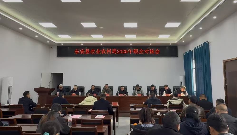 东安县：政银企担面对面 精准对接谋发展
